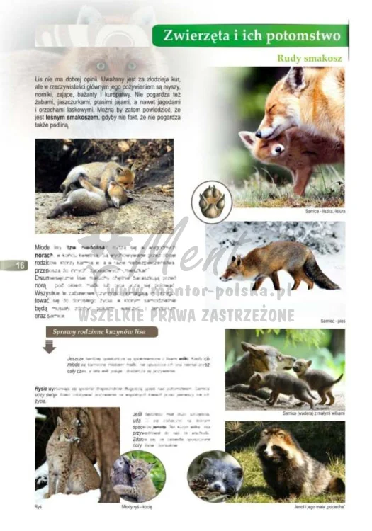 ZESZYT EDUKACYJNY "Znajdź moją mamę"