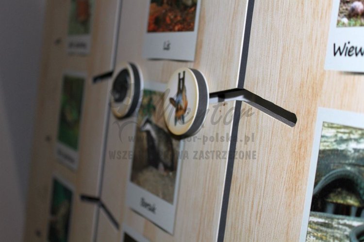 Labirynt Natury - szczegóły wykonania