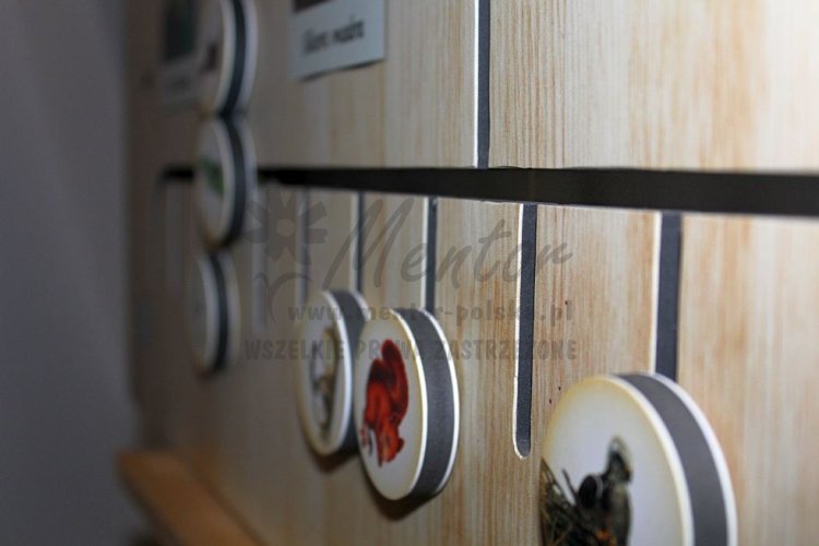 Labirynt Natury - szczegóły wykonania