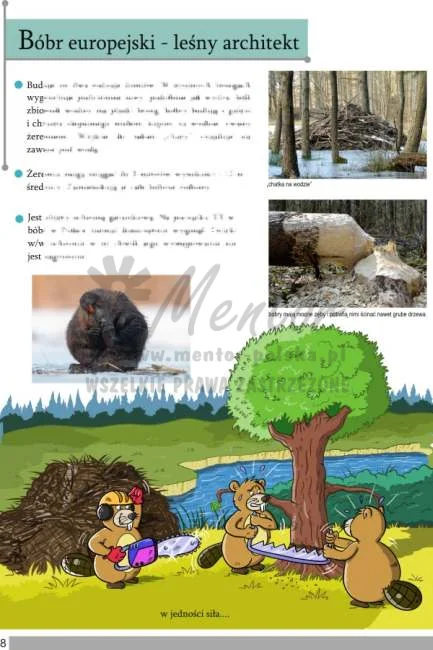 ZESZYT EDUKACYJNY "Tajemnice ssaków leśnych"