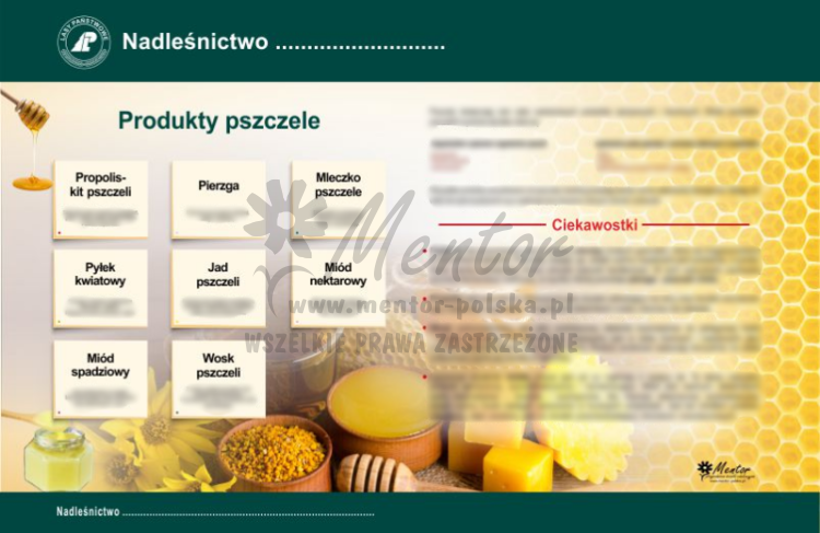 Tablica magnetyczna "Produkty pszczele"