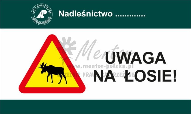 Tablica Uwaga na łosie