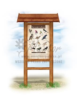Tablica "Ptaki osiadłe i wędrujące",w przykładowym stelażu drewnianym