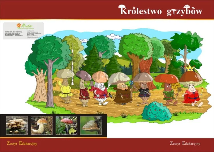 ZESZYT EDUKACYJNY "Królestwo grzybów"