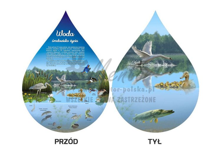 Tablica kształtowa - Woda