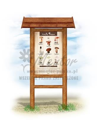 Tablica "Grzyby trujące", w przykładowym stelażu drewnianym
