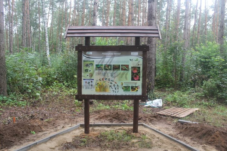 Stelaż SD16 (bez odbojników i poprzeczki) - realizacja