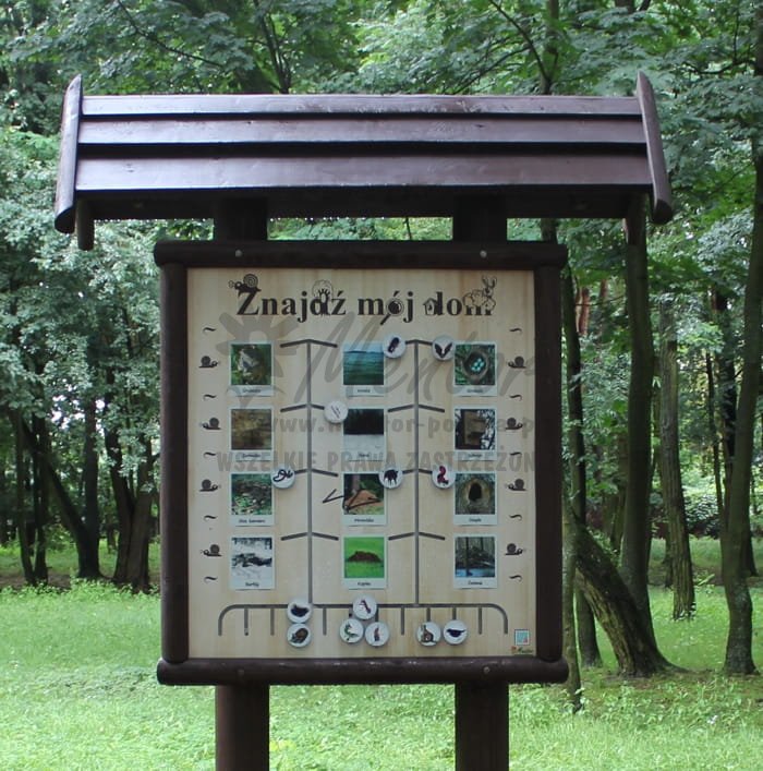 "Znajdź mój dom" - Labirynt Natury - fotografia poglądowa