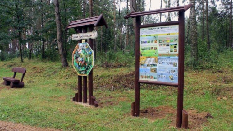  Zegar fenologiczny - tablica: jesień - zima