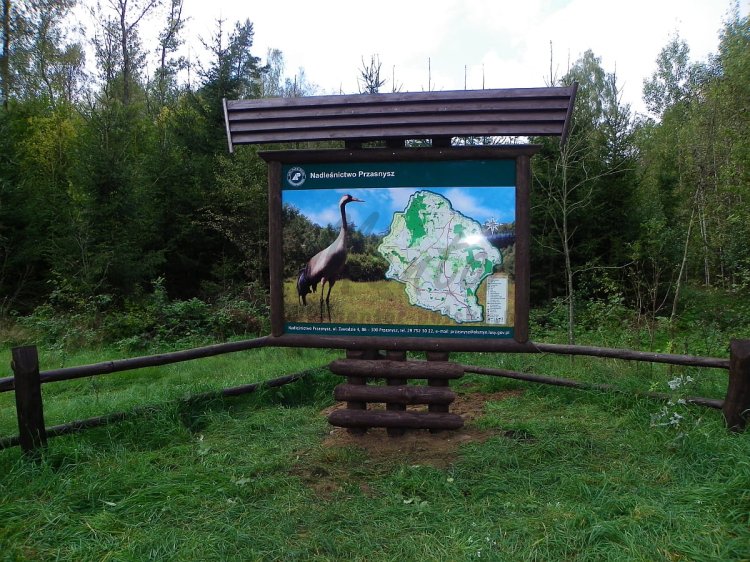 Stlaż do tablic dużych