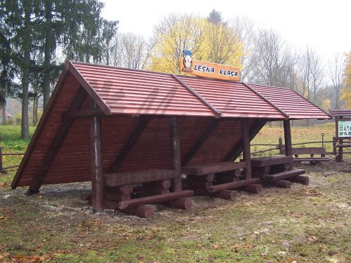 Wz10