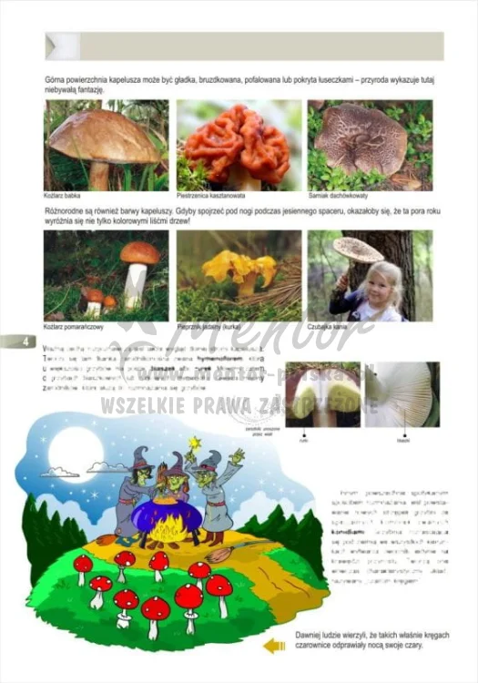 ZESZYT EDUKACYJNY "Królestwo grzybów"