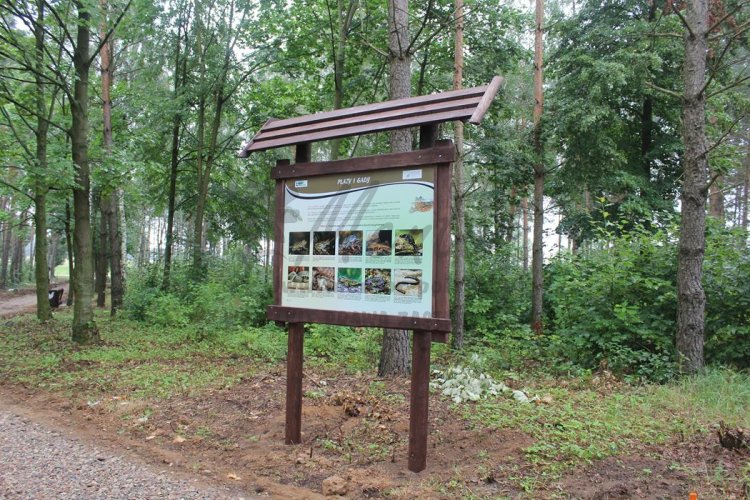 Stelaż SD16 (bez odbojników i poprzeczki) - realizacja