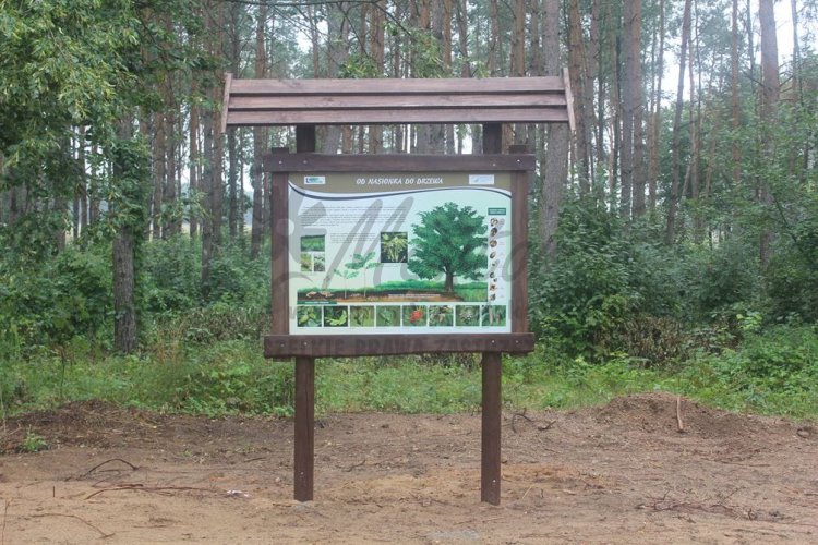 Stelaż SD16 (bez odbojników i poprzeczki) - realizacja
