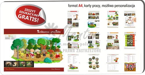 Gra edukacyjna "GRZYBOBRANIE" - wizualizacja poglądowa