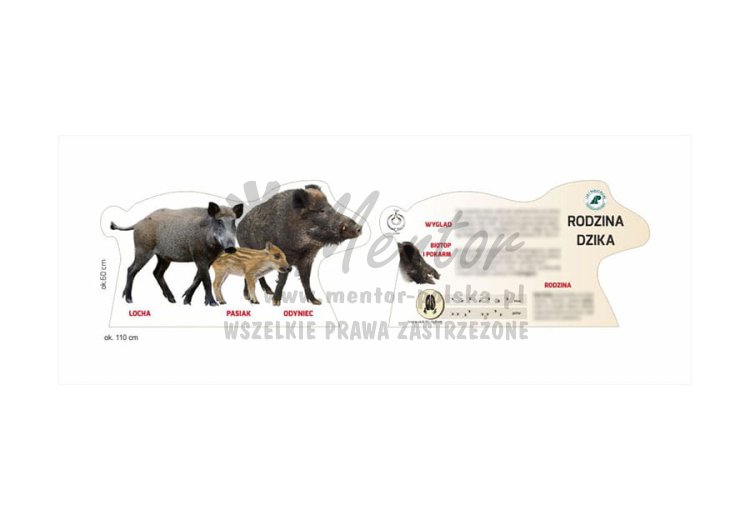 Tablica kształtowa "Rodzina dzika"