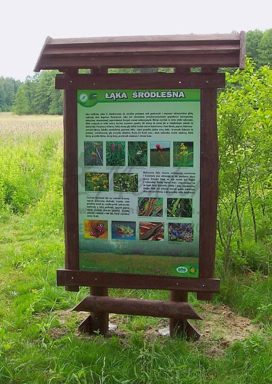 SD16 w układzie pionowym