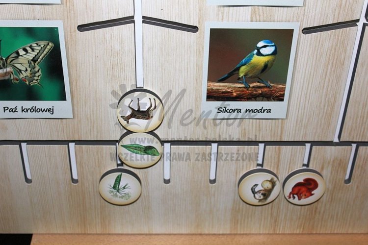 Labirynt Natury - szczegóły wykonania