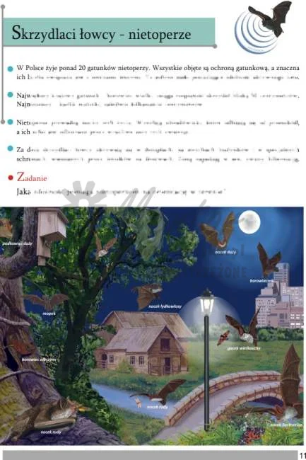 ZESZYT EDUKACYJNY "Tajemnice ssaków leśnych"