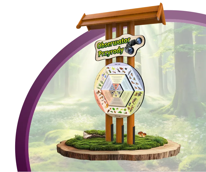 Gra terenowa Obserwator Przyrody