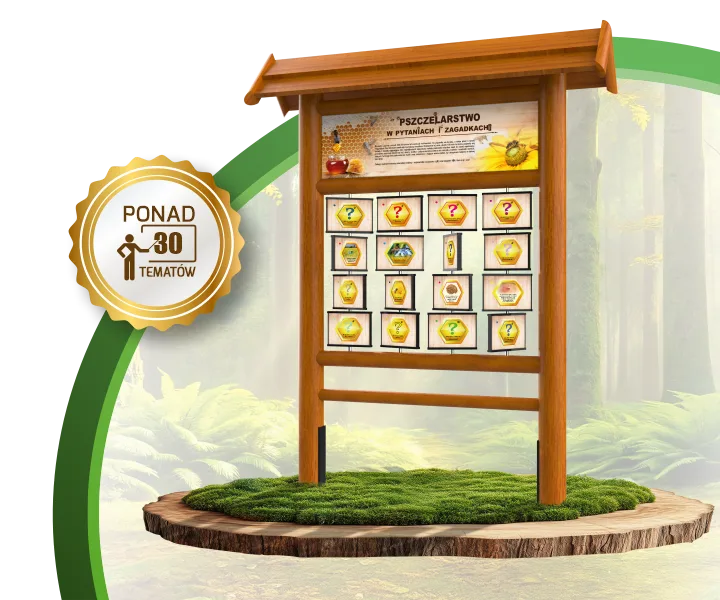 Gra terenowa Pamięciówka 16 paneli