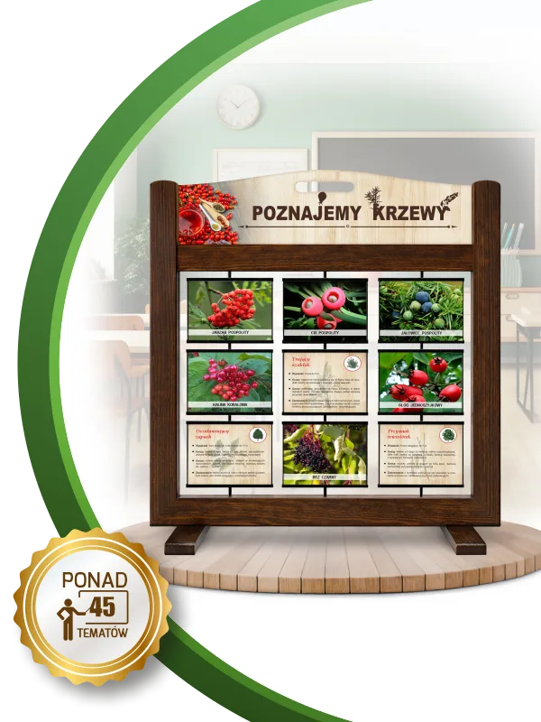 Gra mobilna Seria Poznawcza